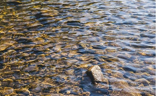 自然資源部與世界自然保護聯盟簽署諒解備忘錄